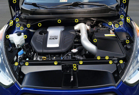Hyundai Veloster Dress Up Bolt Kit