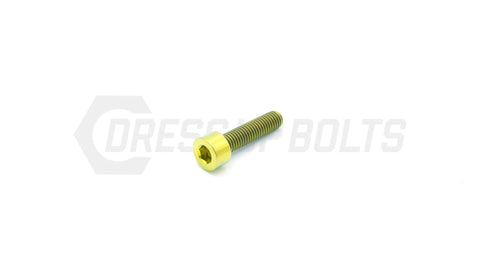 Dress Up Bolts M5x.8x20mm Titanium Socket Cap Bolt  (IND-025-Ti-BLK)