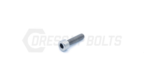 Dress Up Bolts M5x.8x20mm Titanium Socket Cap Bolt  (IND-025-Ti-BLK)