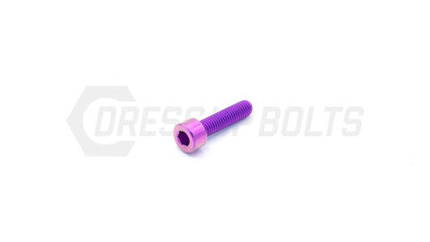 Dress Up Bolts M5x.8x20mm Titanium Socket Cap Bolt  (IND-025-Ti-BLK)