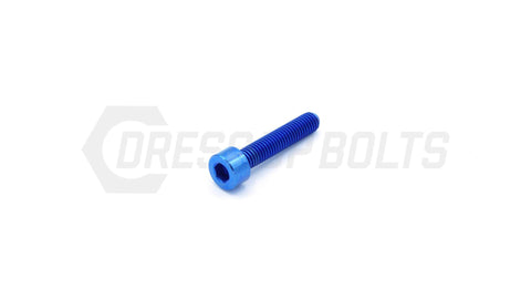 Dress Up Bolts M5x.8x25mm Titanium Socket Head Bolt  (IND-027-Ti-BLK)