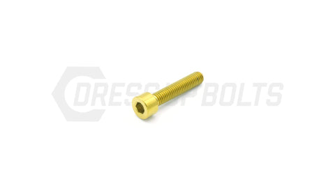 Dress Up Bolts M5x.8x25mm Titanium Socket Head Bolt  (IND-027-Ti-BLK)