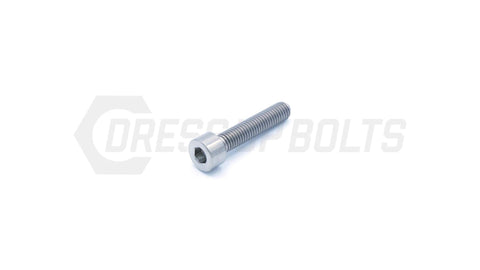Dress Up Bolts M5x.8x25mm Titanium Socket Head Bolt  (IND-027-Ti-BLK)