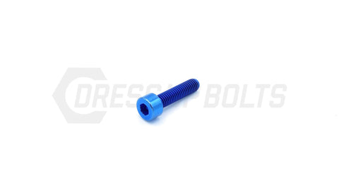 Dress Up Bolts M5x.8x20mm Titanium Socket Cap Bolt  (IND-025-Ti-BLK)