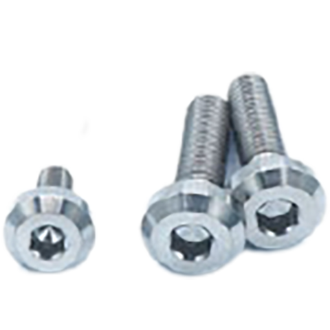 Dress Up Bolts Titanium Thermostat Hardware Kit | 2015-2021 Dodge Charger 392 Scat Pack (DOD-009-Ti-XXX)