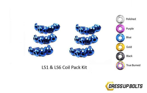 LS1 Coil Pack