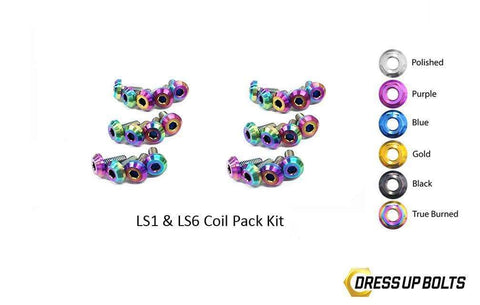 LS1 Coil Pack