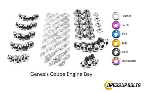 Hyundai Genesis Engine Bay