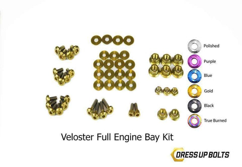 Hyundai Veloster Dress Up Bolt Kit