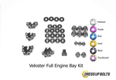 Hyundai Veloster Dress Up Bolt Kit
