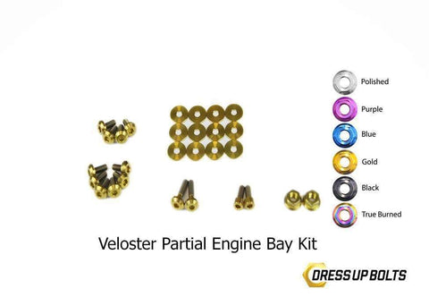 Hyundai Veloster Dress Up Bolt Kit
