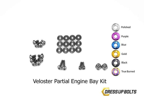Hyundai Veloster Dress Up Bolt Kit