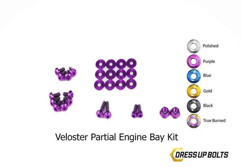 Hyundai Veloster Dress Up Bolt Kit