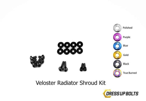 Hyundai Veloster Dress Up Bolt Kit