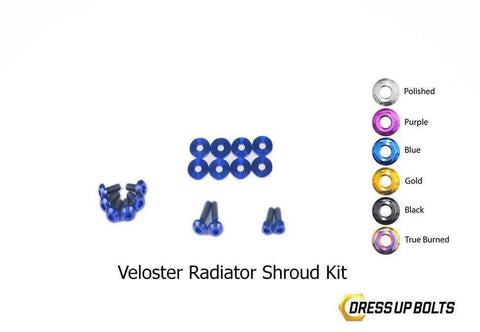 Hyundai Veloster Dress Up Bolt Kit