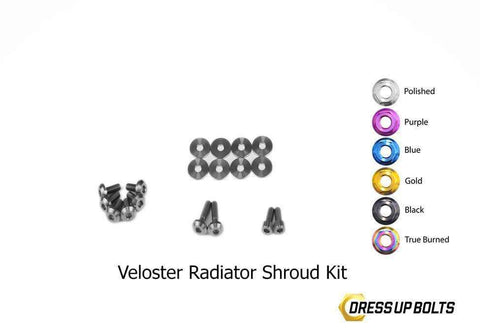 Hyundai Veloster Dress Up Bolt Kit