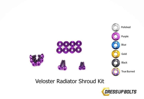 Hyundai Veloster Dress Up Bolt Kit