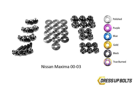 Nissan Maxima Engine Bay