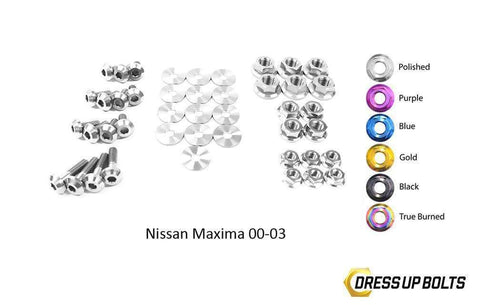 Nissan Maxima Engine Bay