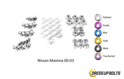 Nissan Maxima Engine Bay