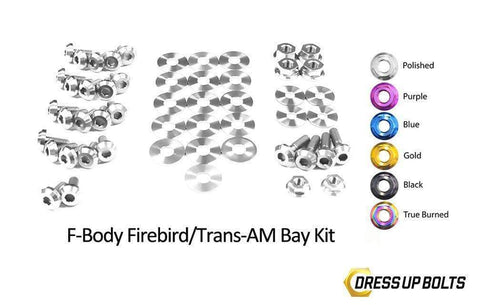 Fire Bird Engine Bay