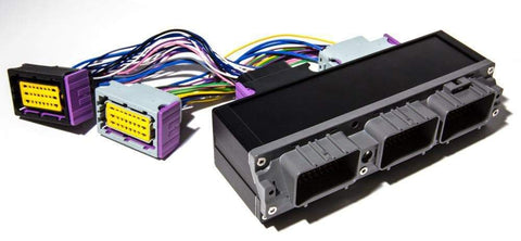 ECUMaster PnP Adapter For EMU Classic | 1993-2002 Toyota Supra JZA80 2JZGTE (ECU2JZ)