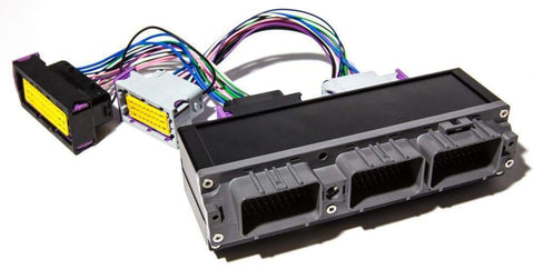ECUMaster PnP Adapter For EMU Black | 1993-2002 Toyota Supra JZA80 2JZGTE (ECU2JZB)