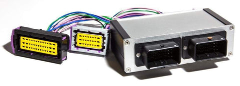 ECUMaster PnP Adapter For EMU Black | 2001-2011 Lotus 2ZZ Non-DBW (ECU2ZZB)