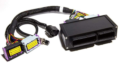 ECUMaster PnP Adapter For EMU Classic W/ CAN Module | 1997-2002 Audi S4 B5 (ECUB5S4)