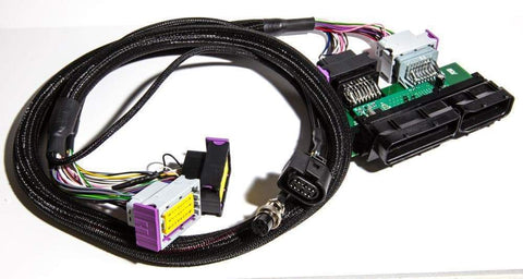 ECUMaster PnP Adapter For EMU Classic W/ CAN Module | 2001-2006 Mini Cooper S R53 (ECUR53)