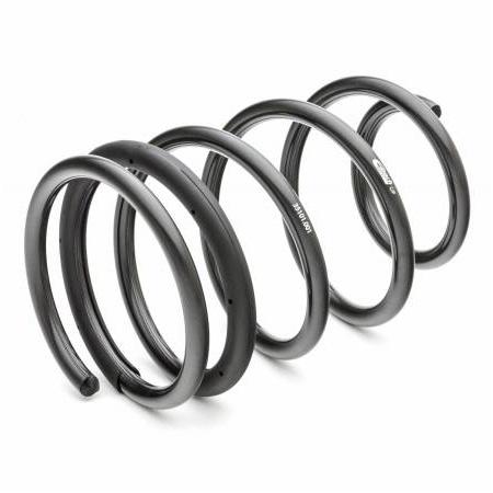 Eibach Pro-Kit Performance Springs | 2005-2010 Ford Mustang S197 (35101.140)