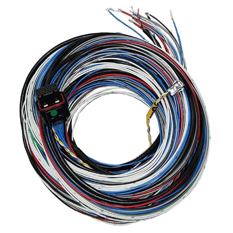 Fueltech FT450/550 Unterminated A Harness (2001005569/70)