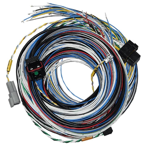 Fueltech FT550 B Unterminated Harness (2001005571/72)