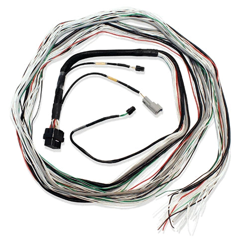 Fueltech FT600 Unterminated Harness (2001004001/3)
