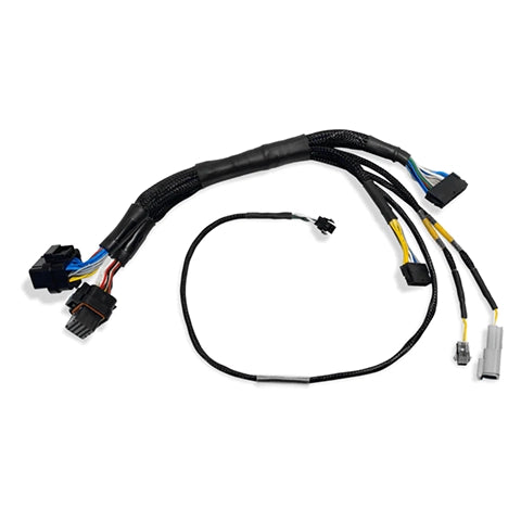 Fueltech FT500 to FT600 Adapter Harness (2001004005)
