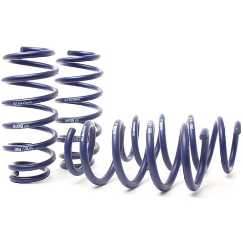 H&R Lowering Springs | 2020-2022 Tesla Model Y Performance AWD (28605-1)