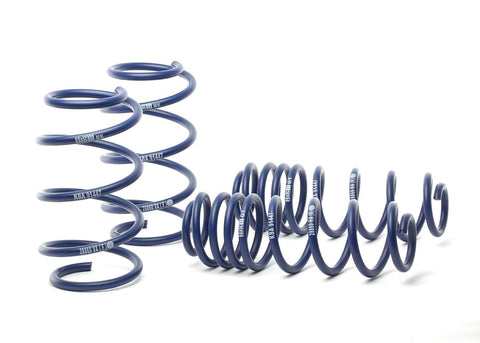 H&R Sport Springs | 2013+ BMW 640i/650i Gran Coupe F06 (28947-1)