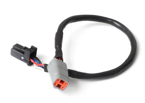 Haltech Haltech Elite CAN Cable DTM-4 to 8 -Pin Black Tyco (HT-130031)