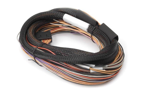 Haltech IO 12 Expander Flying Lead Harness (HT-049902)