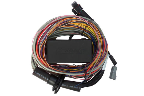 Haltech Elite 950 Premium Universal Wire-in Harness (HT-140704)