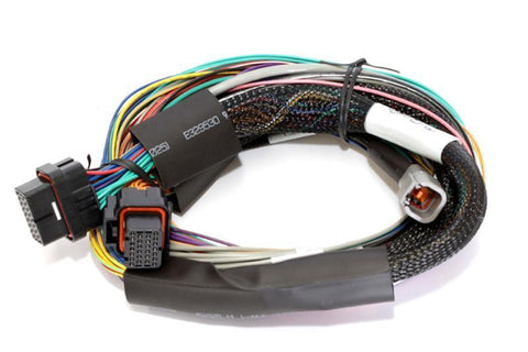 Haltech Elite 1500 Basic Universal Wire-in Harness (HT-140902)