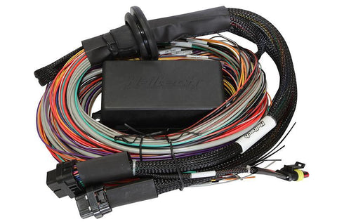 Haltech Elite 1500 Premium Universal Wire-in Harness (HT-140904)