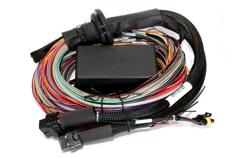 Haltech Elite 2500 & 2500 T Premium Universal Wire-in Harness (HT-141304)