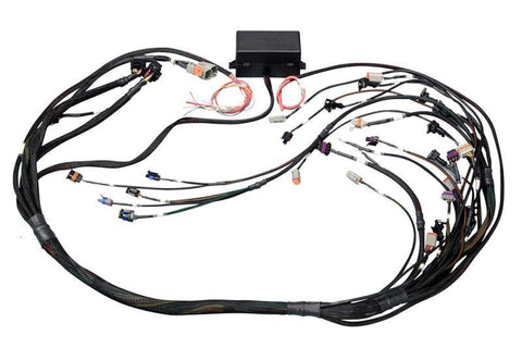 Haltech Elite 2500 GM GEN IV LSX DBW Ready Terminated Harness | Multiple GM Fitments (HT-141367)