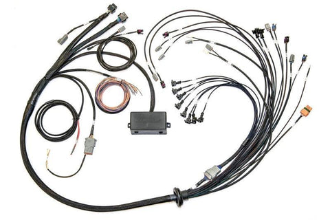 Haltech Elite 2500 Ford Coyote 5.0 Late Cam Solenoid Terminated Harness | Multiple Ford Fitments (HT-141384)