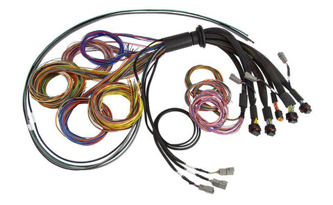 Haltech NEXUS R5 Basic Universal Wire-In Harness (HT-185200)
