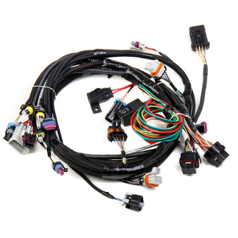 Holley HP EFI & Dominator EFI Main Harness | 1997-2004 GM LS1/6 Engines (558-102)