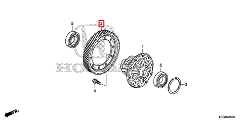 Honda OEM Final Driven Gear | 2016-2021 Honda Civic 1.5T non-Si (41233-5GT-000)