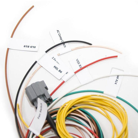 Hybrid Racing K-Series Swap Conversion Wiring Harness | 1988-1991 Honda Civic/CRX)