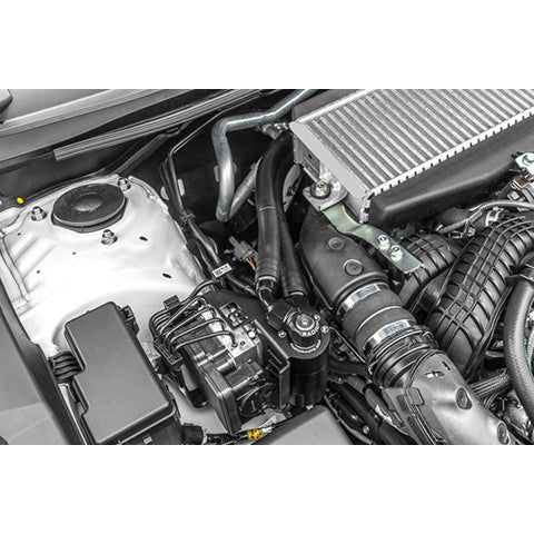 Radium Catch Can Kits | 2022+ Subaru WRX (20-075)